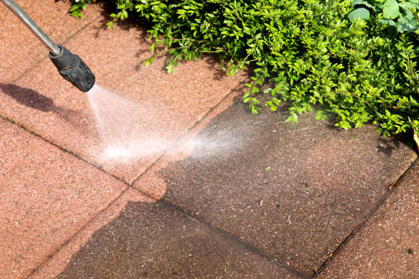 Local Pressure Washing Services in Show Low, AZ