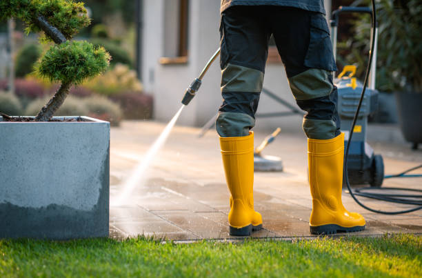 Best Local Pressure Washing Services  in Show Low, AZ
